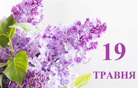 19 мая 2024 г. .